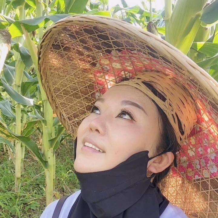 阿拉阿妮（带货号）