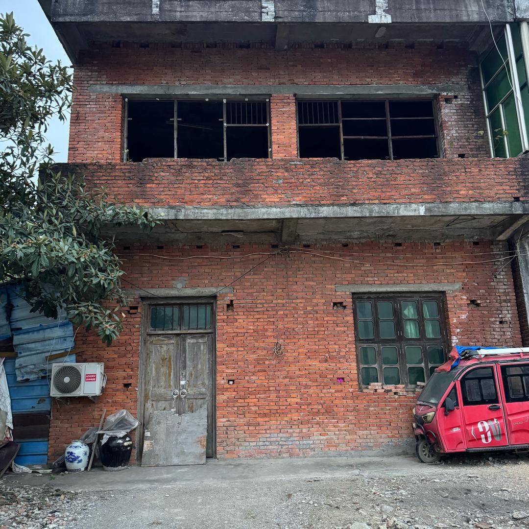 无为红娘张红梅弟弟张飞