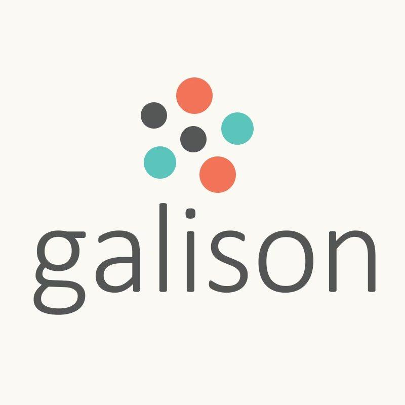 galison拼图