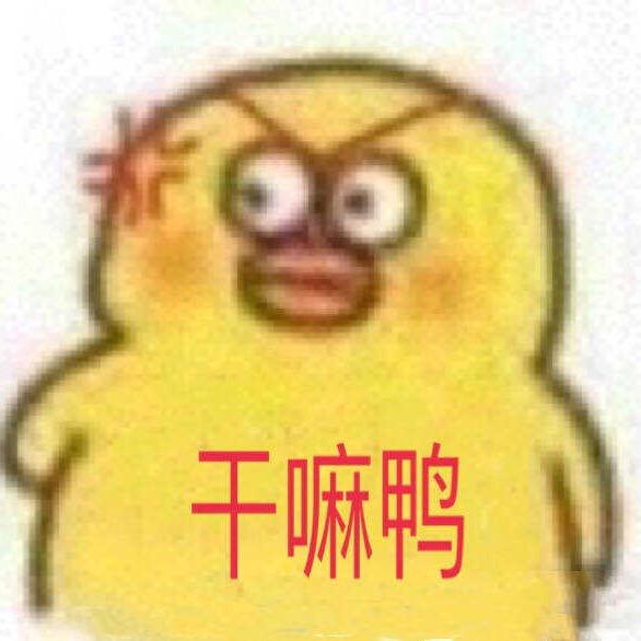 0509头像