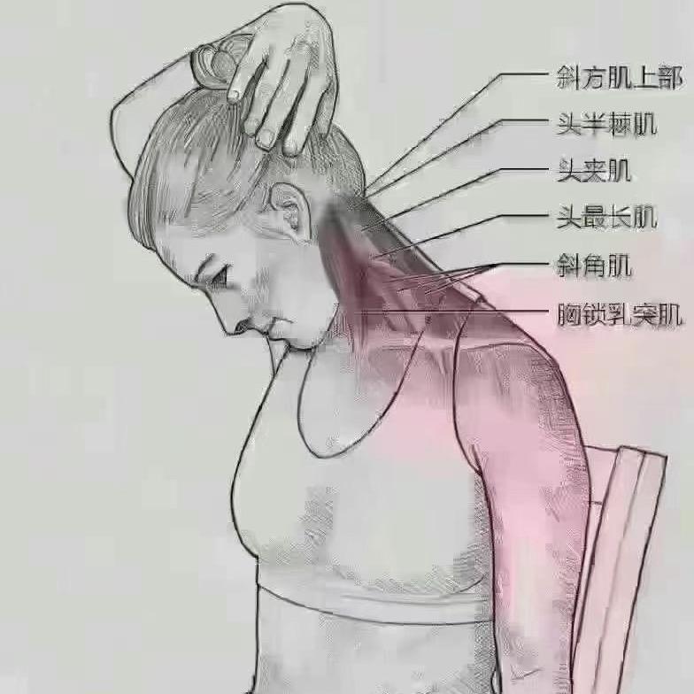 丽丽筋骨养生