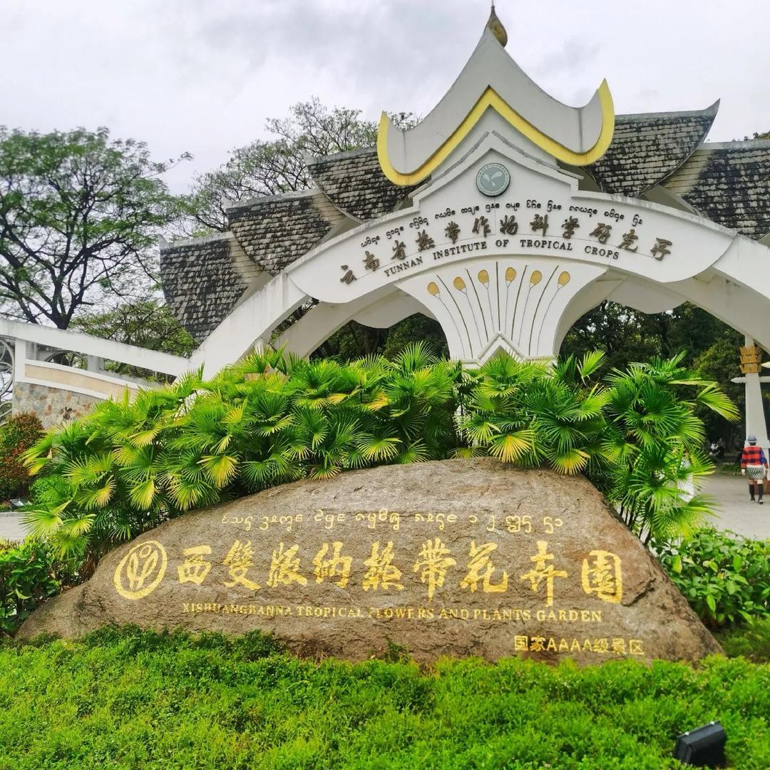 西双版纳热带花卉园宠粉号