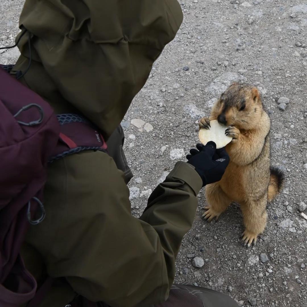 AAA天道酬勤王哥