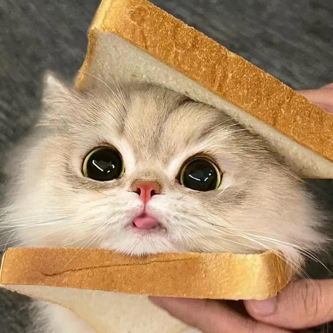 垚垚