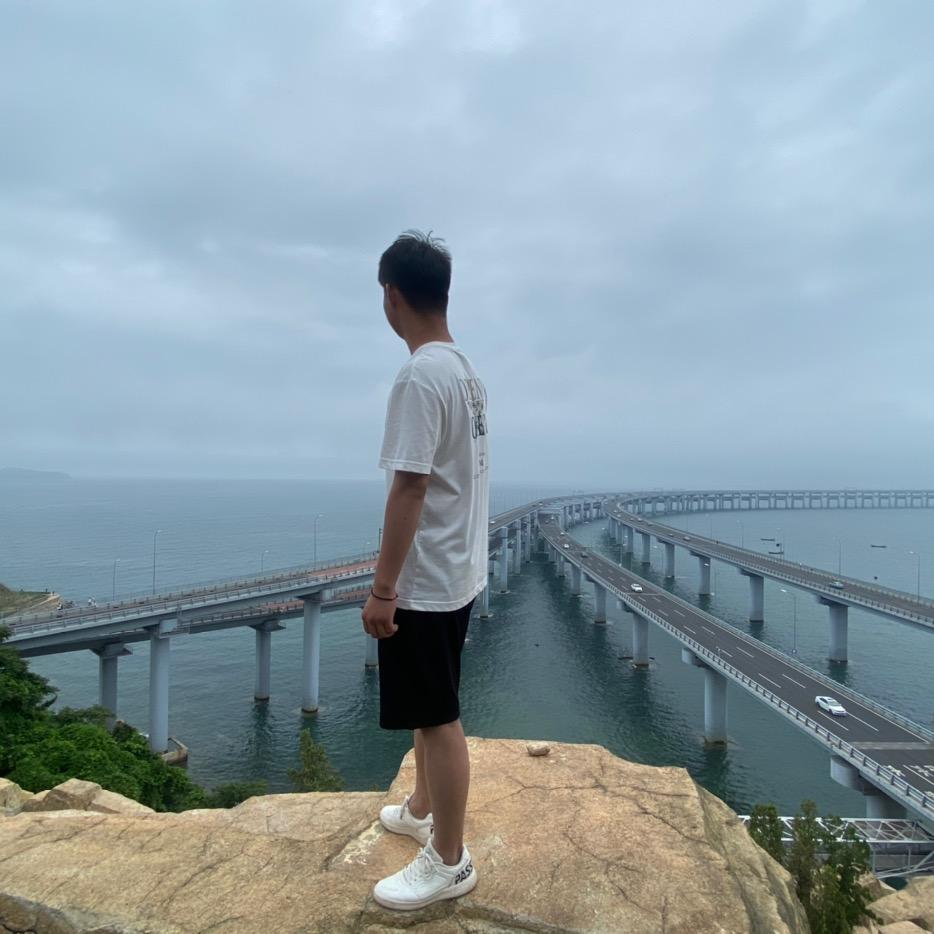 李不理想