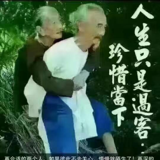贵歌