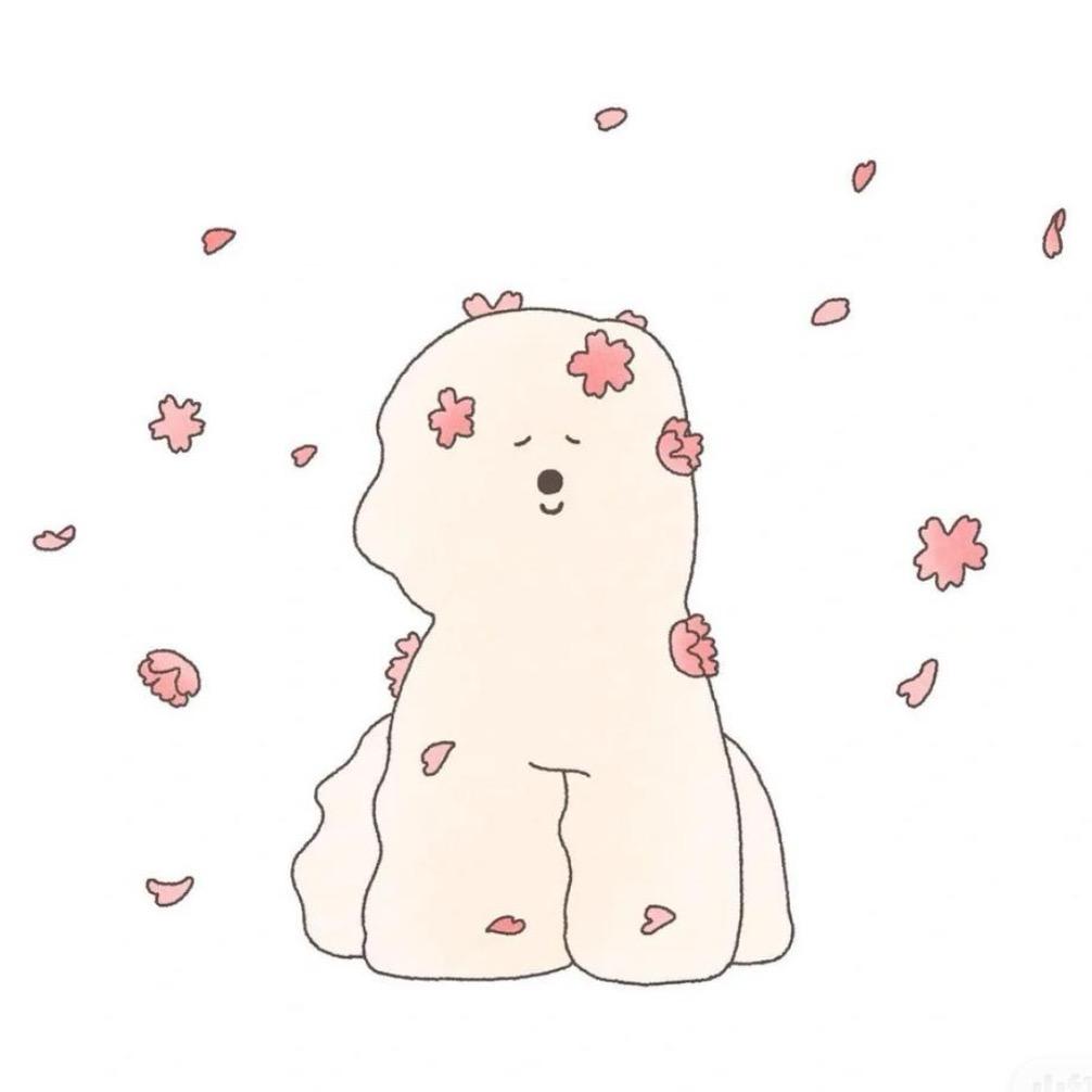 徐有有