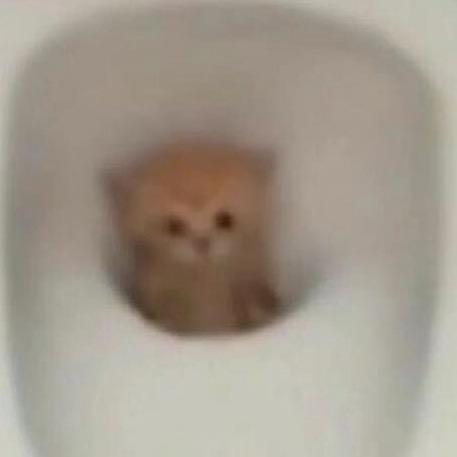 小兔奶团