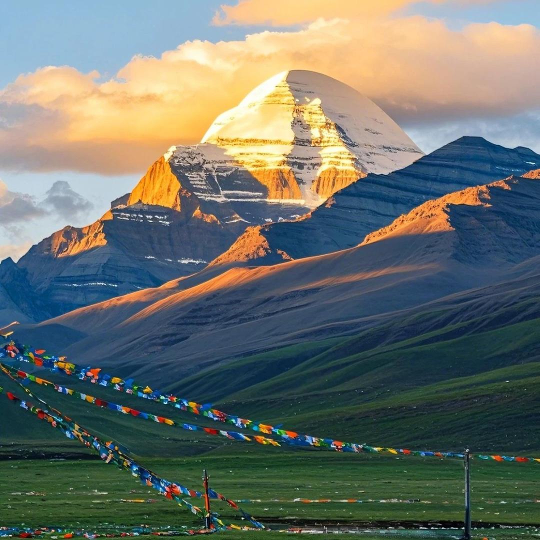 豆了个豆豆豆豆