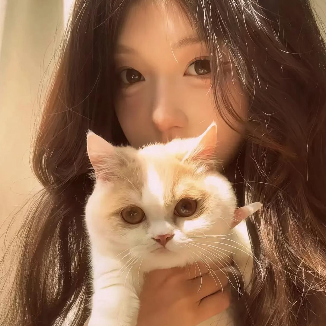 女明星
