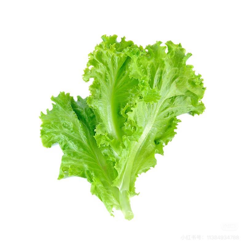 柚趣的人阿