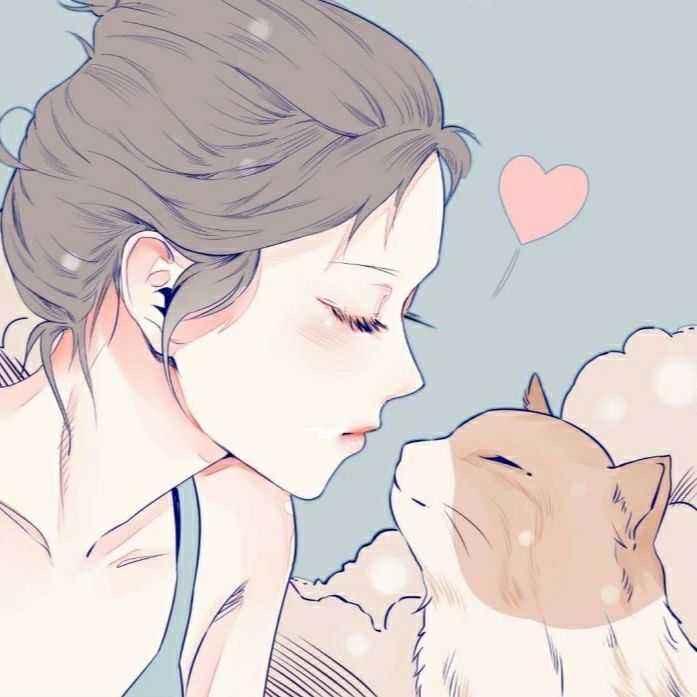 小猫宝贝