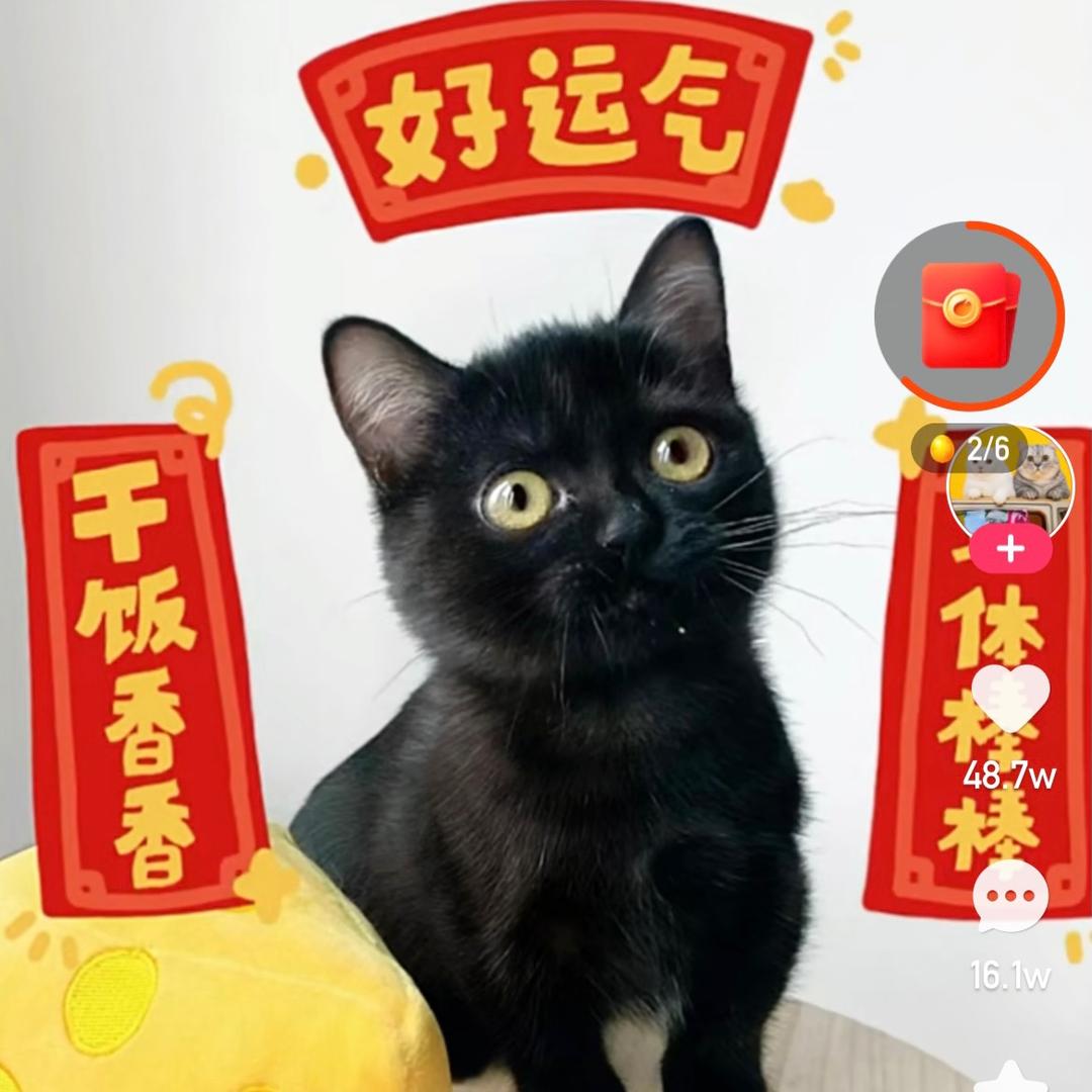 秦飘飘