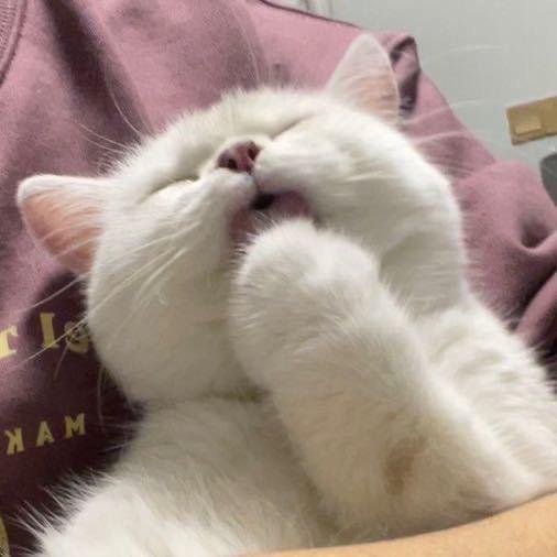薯薯的朋友圈