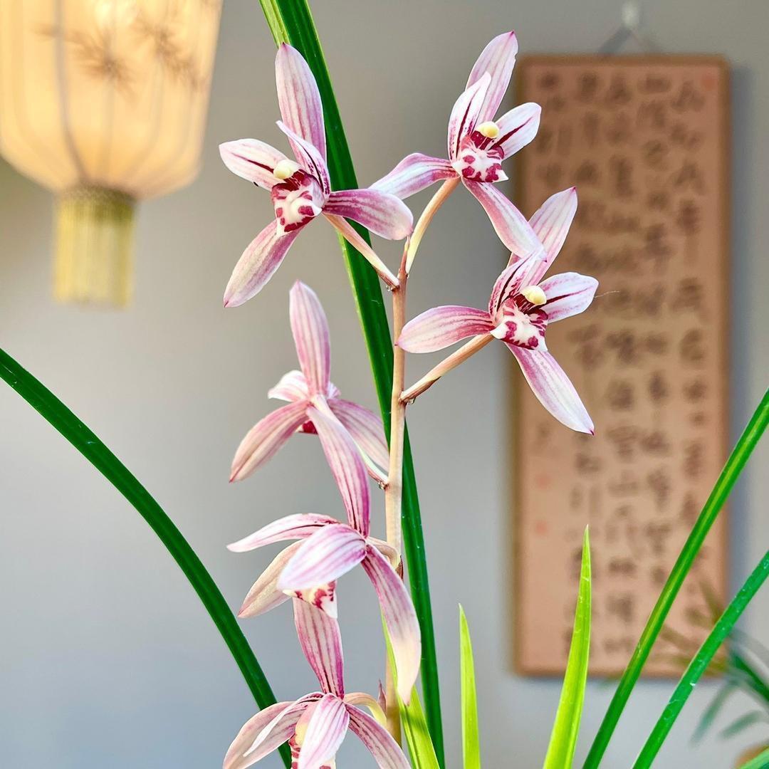 顺源