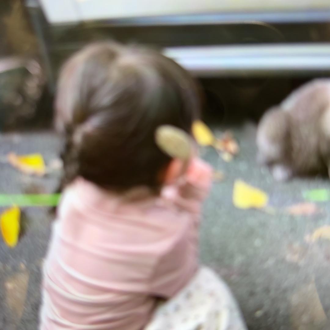 妹妹/