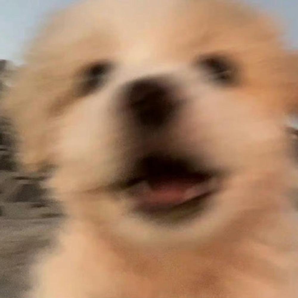 w!