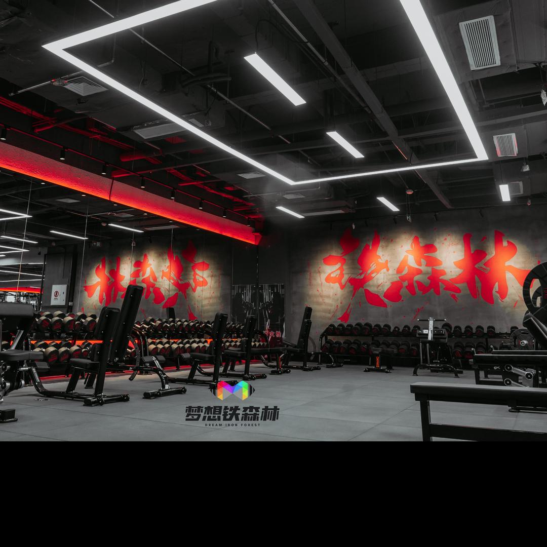 铁森林红象馆-孔禹棠