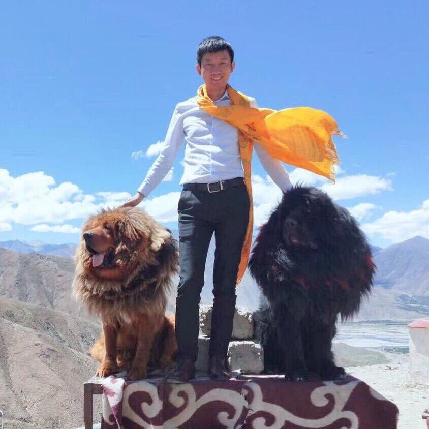 一身正气🇨🇳