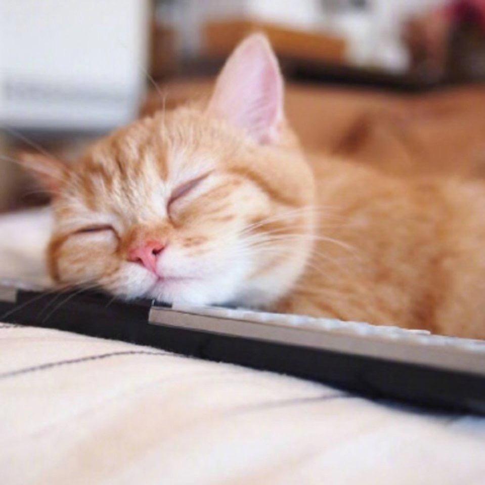 丁大喜呀随便發發