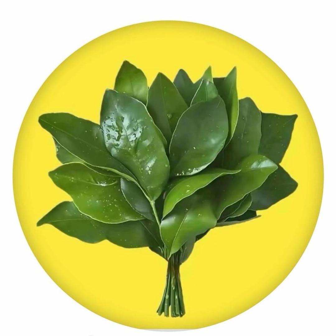 春风不语、勾栏听曲😈