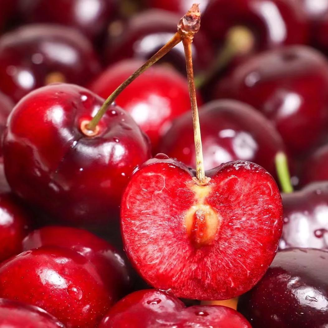 林木花园车厘子基地