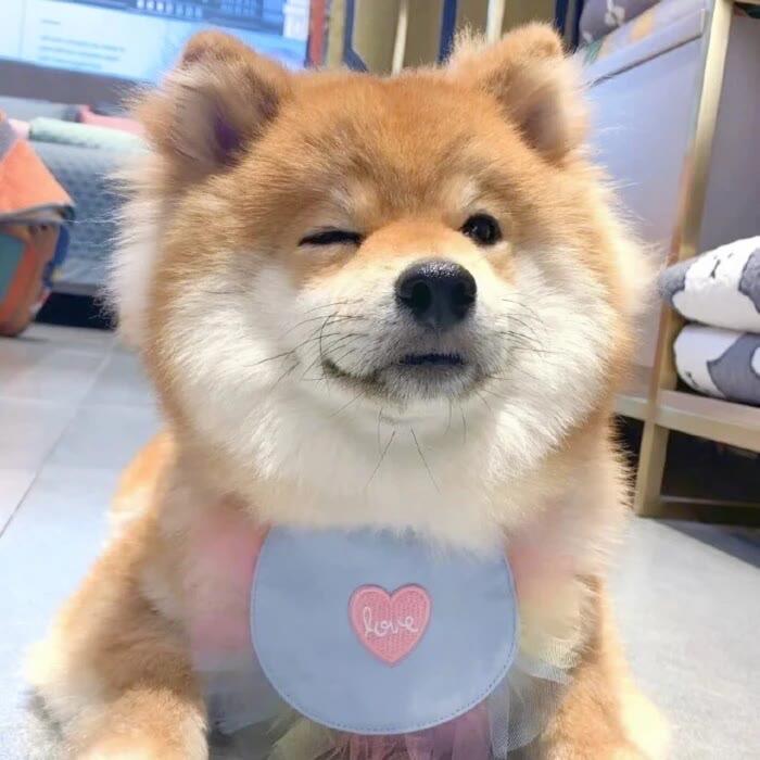 冰冷心事