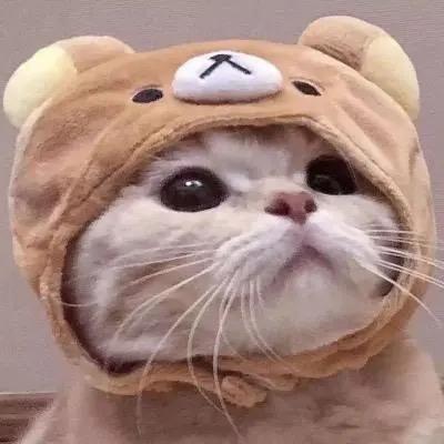 浪子野℉心⁵²³