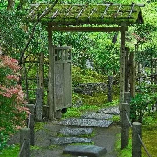 中天
