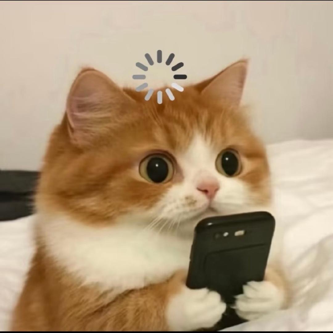 𝗠𝗮𝗸𝗮𝗯𝗮𝗸𝗮