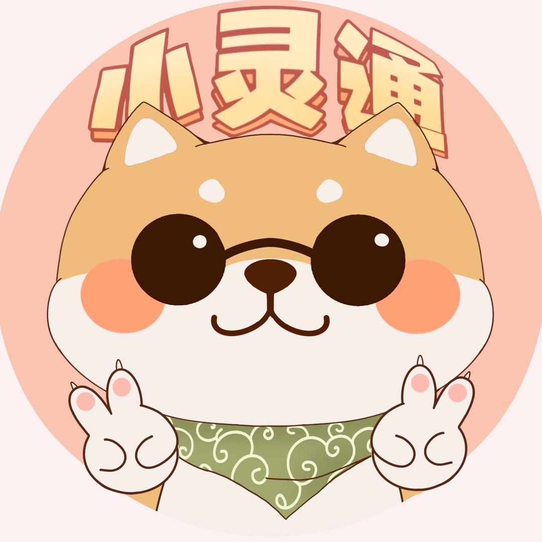 呼噜蛋蛋宠物工作室