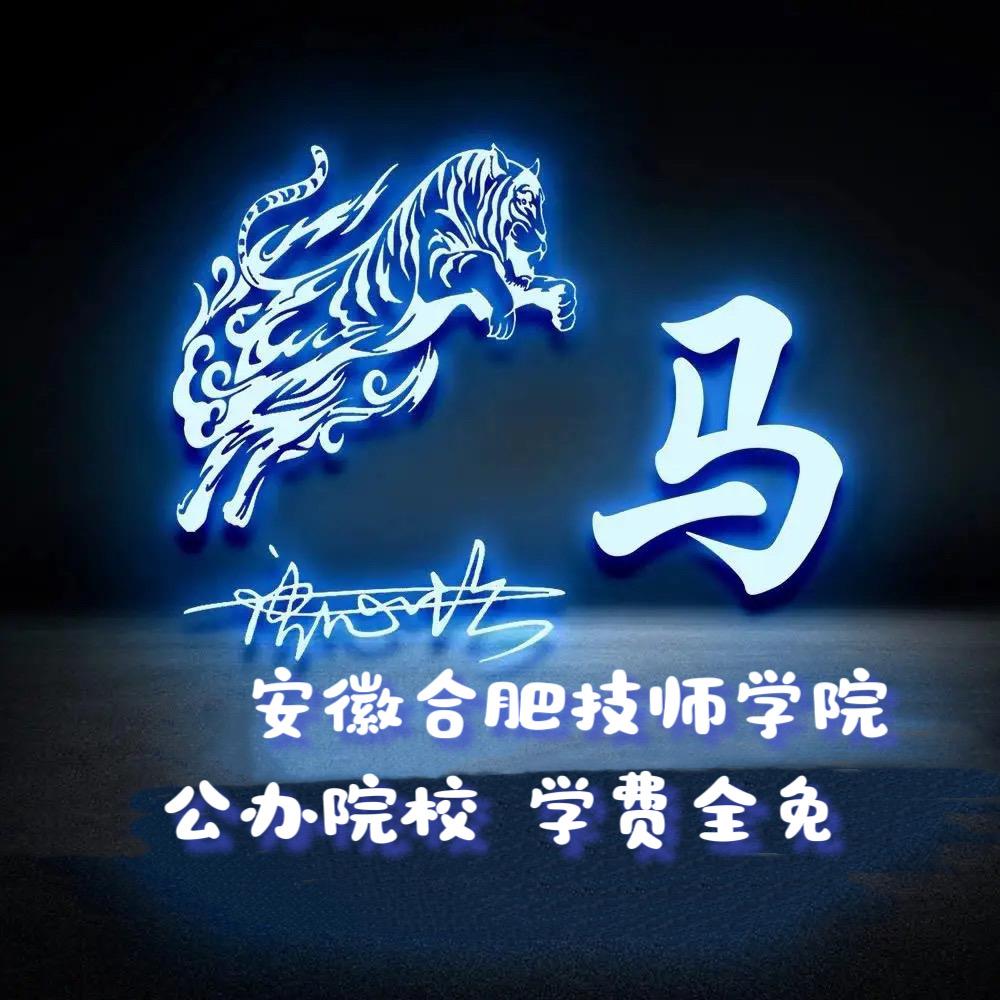 安徽合肥技师学院马老师