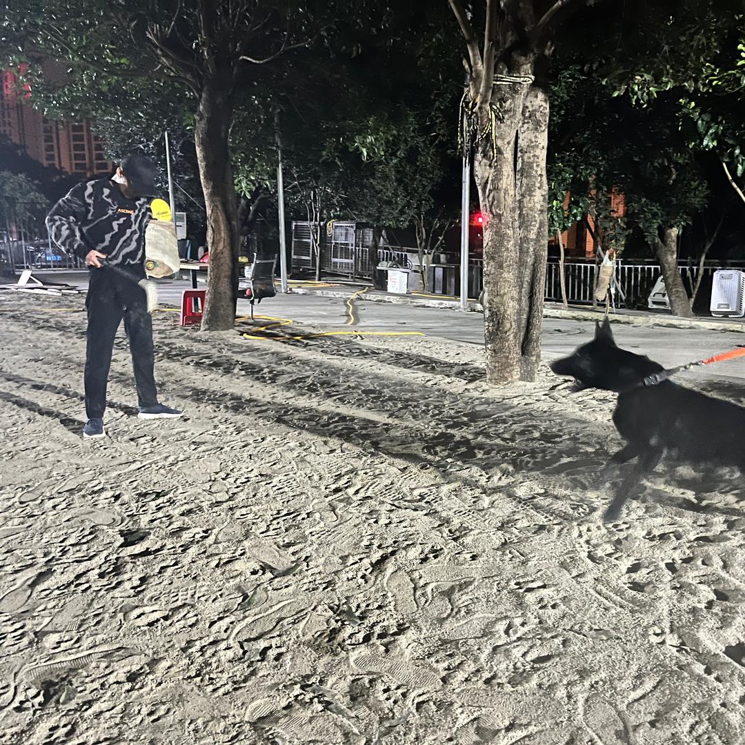 摘星猛犬俱乐部