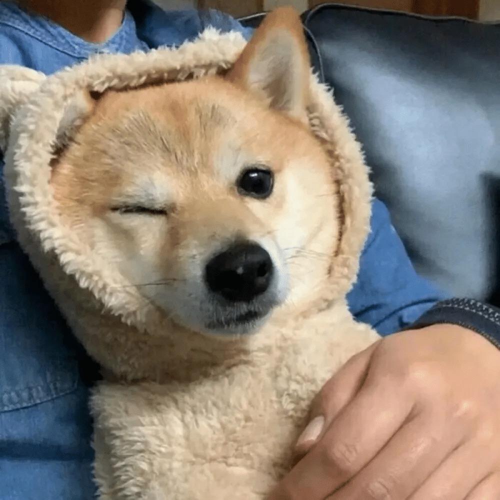 T丶