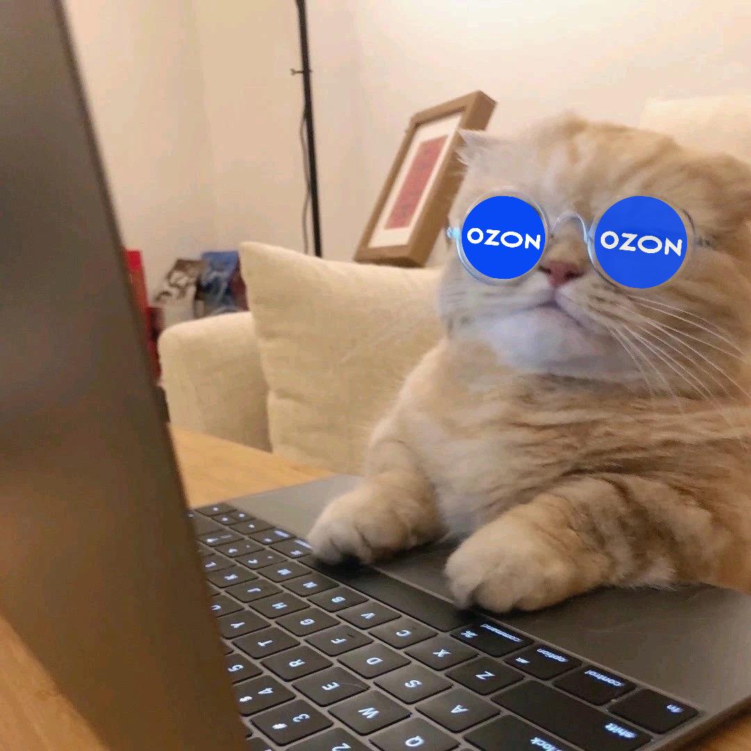 Ozon小班长（七古电商）