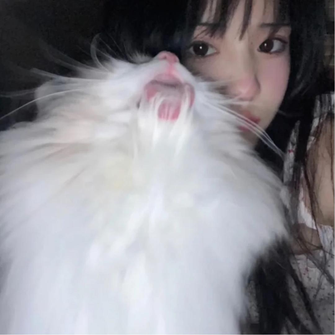 在逃夹子音