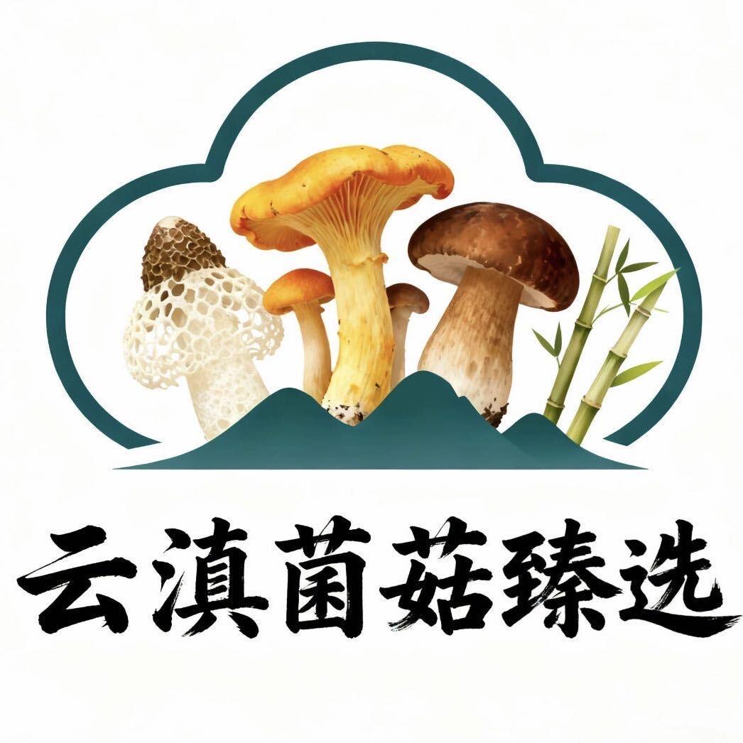 云滇菌菇臻选