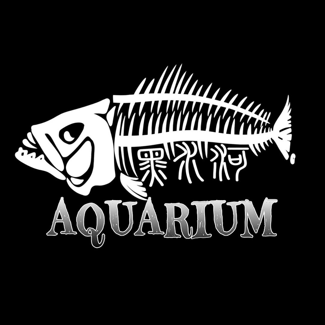 黑水河原生工作室