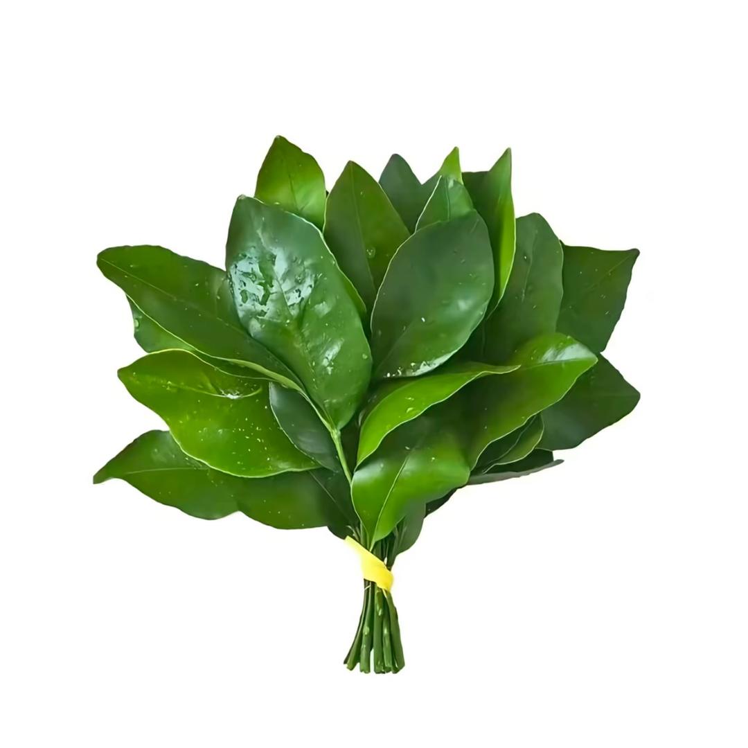 秋刀魚