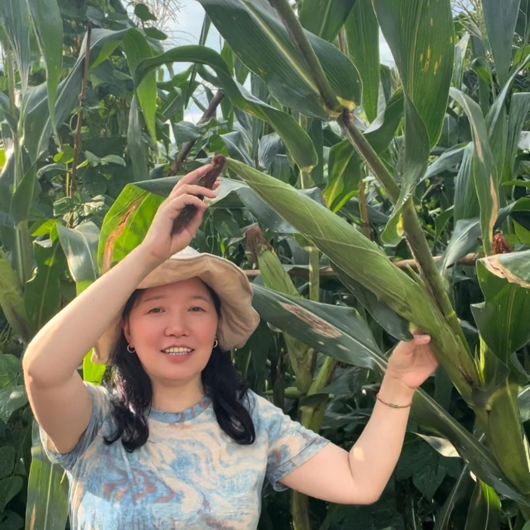 兔子妈的橱窗