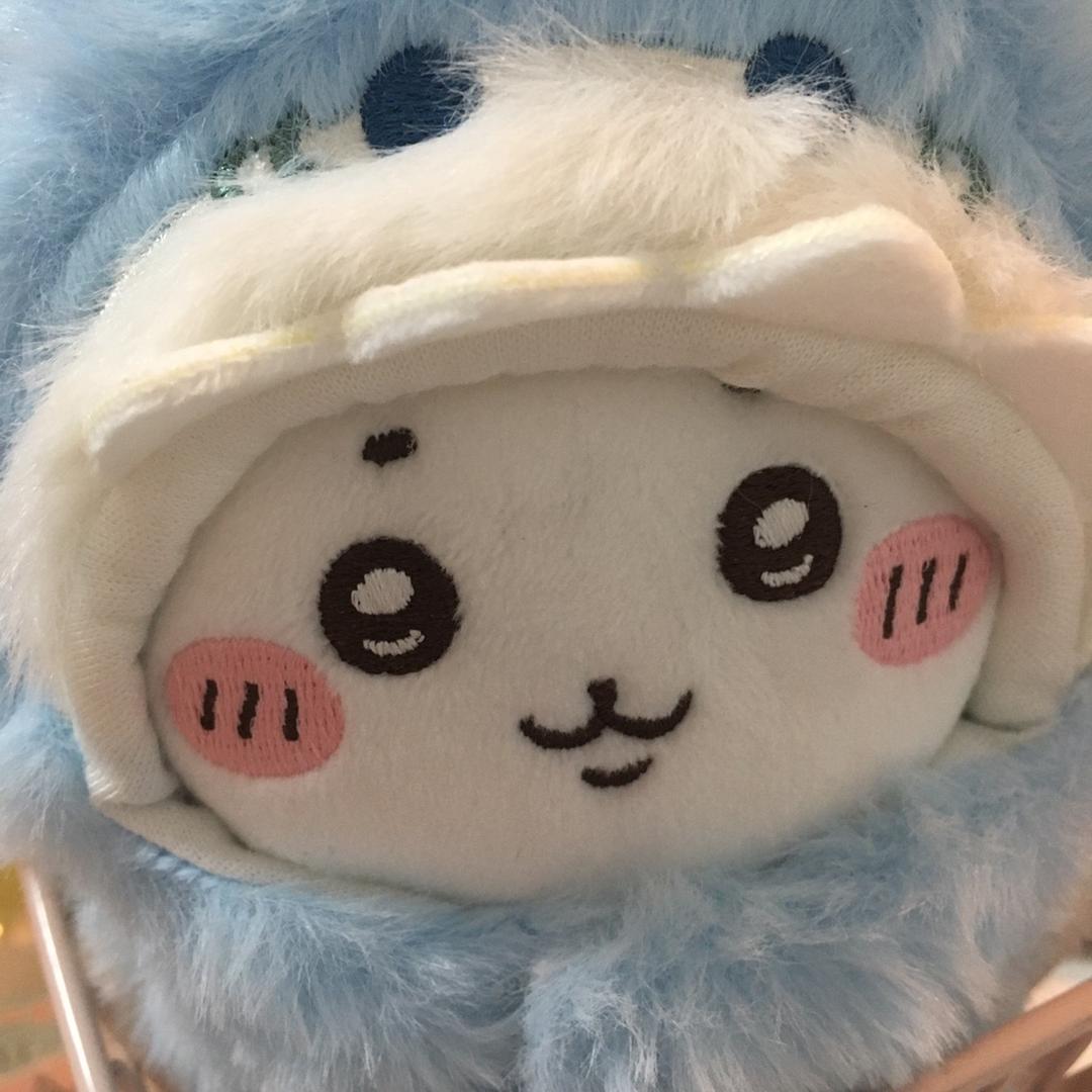 洋玉米