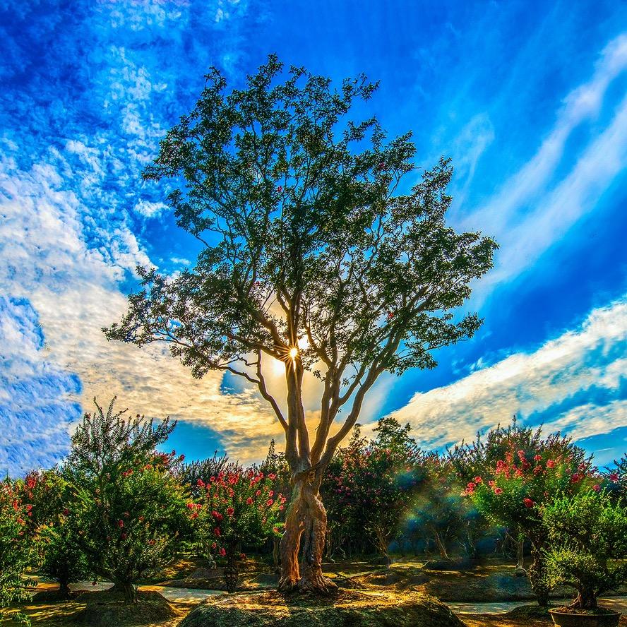 成都徐家大院乡村酒店