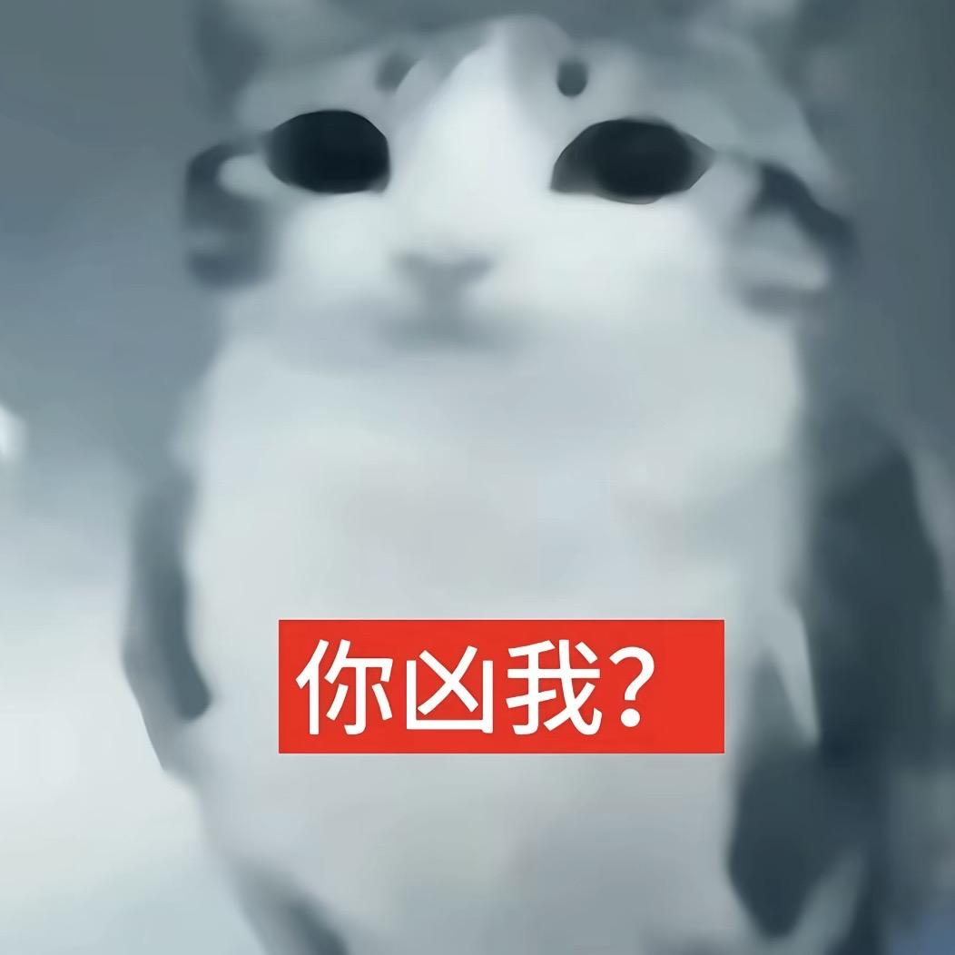 猪猪