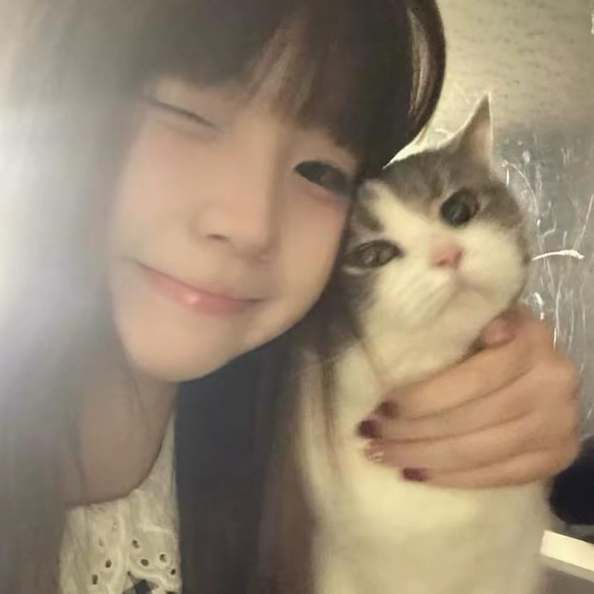 小绵羊😗