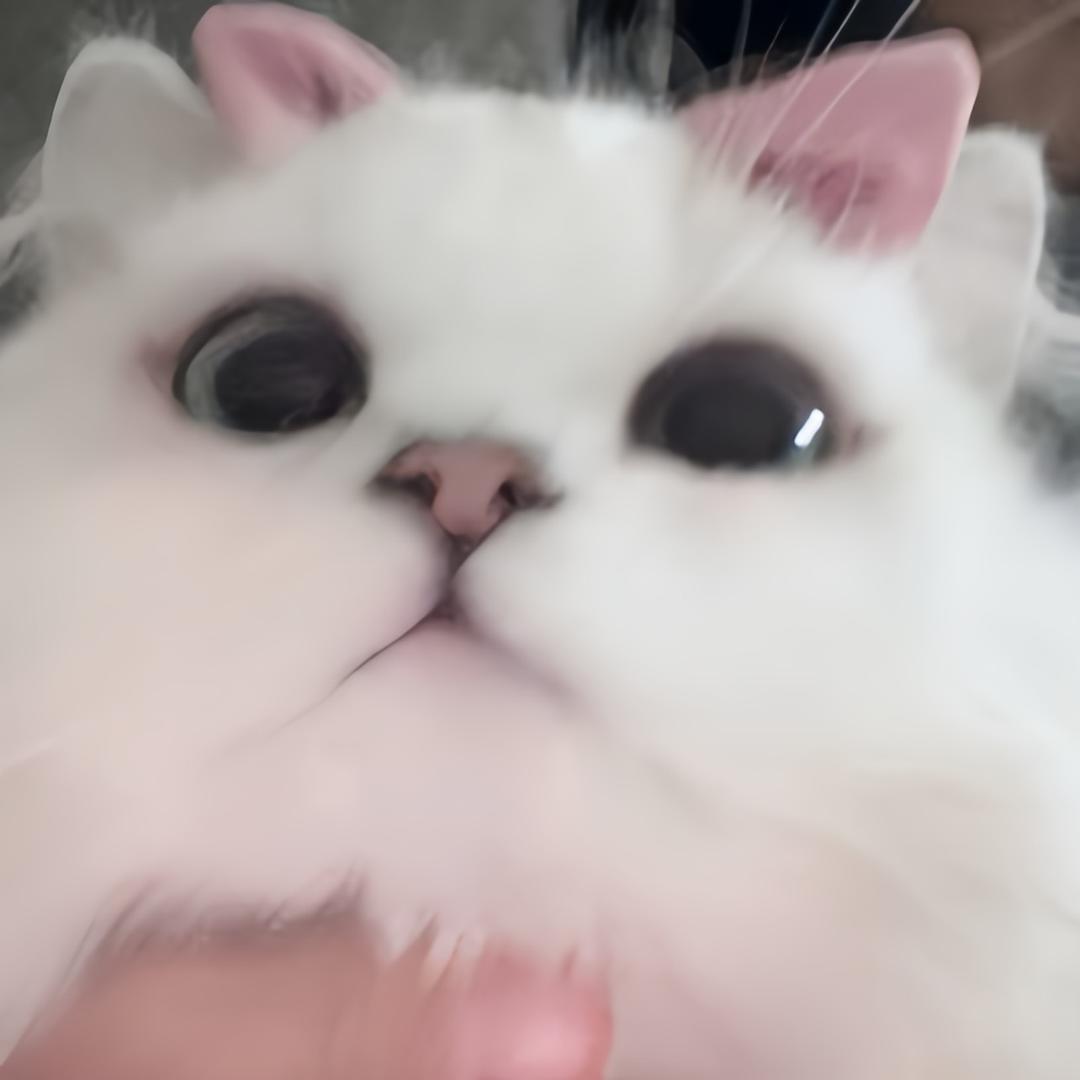 张海燕👱🏽‍♀️