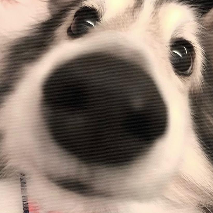 生吞一百个高中生