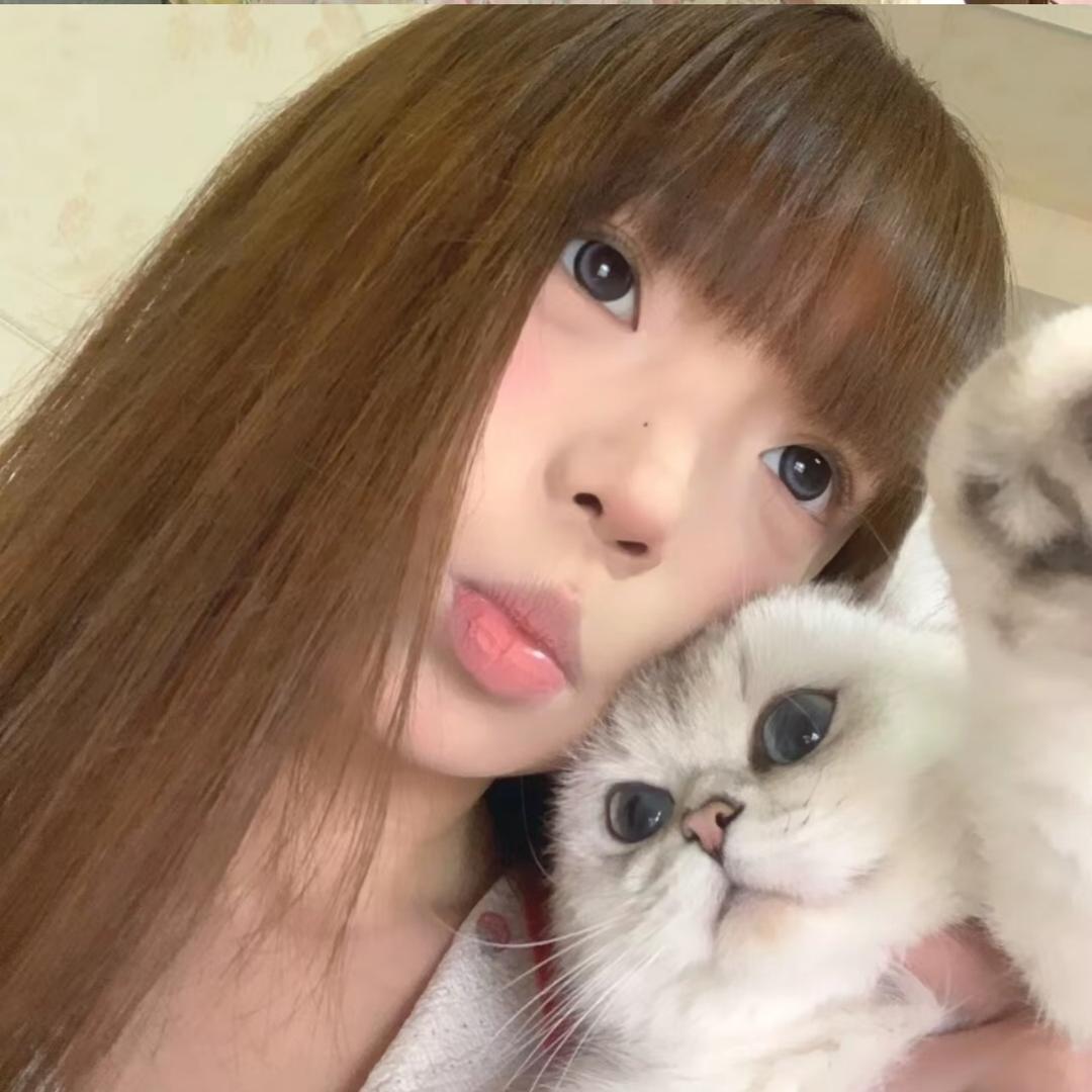 上海的鲨鱼.