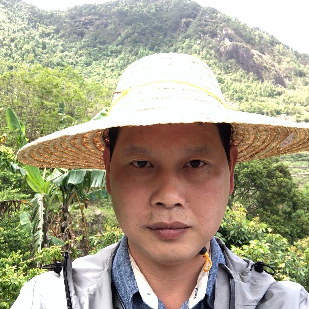 老唐的茶缘