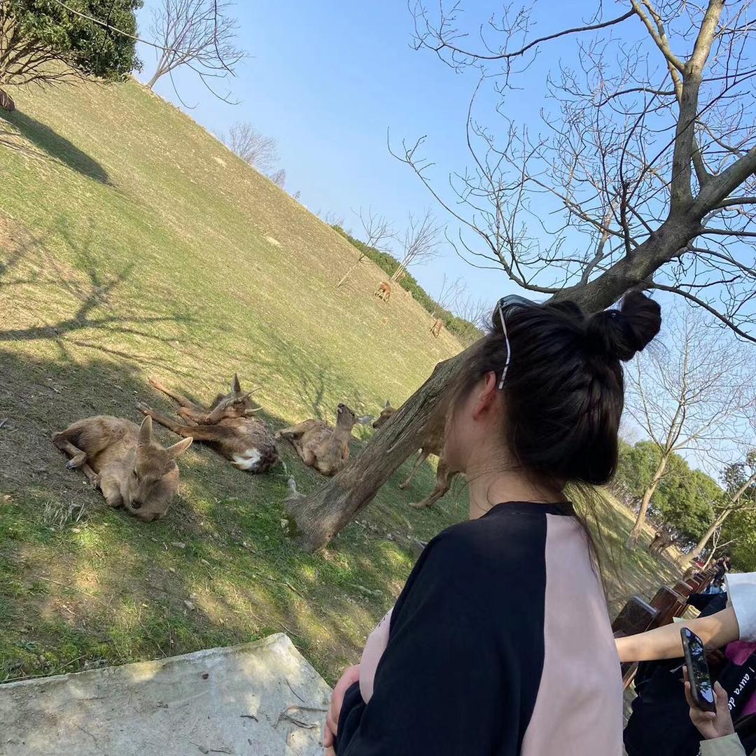 朵朵朵朵拉👧