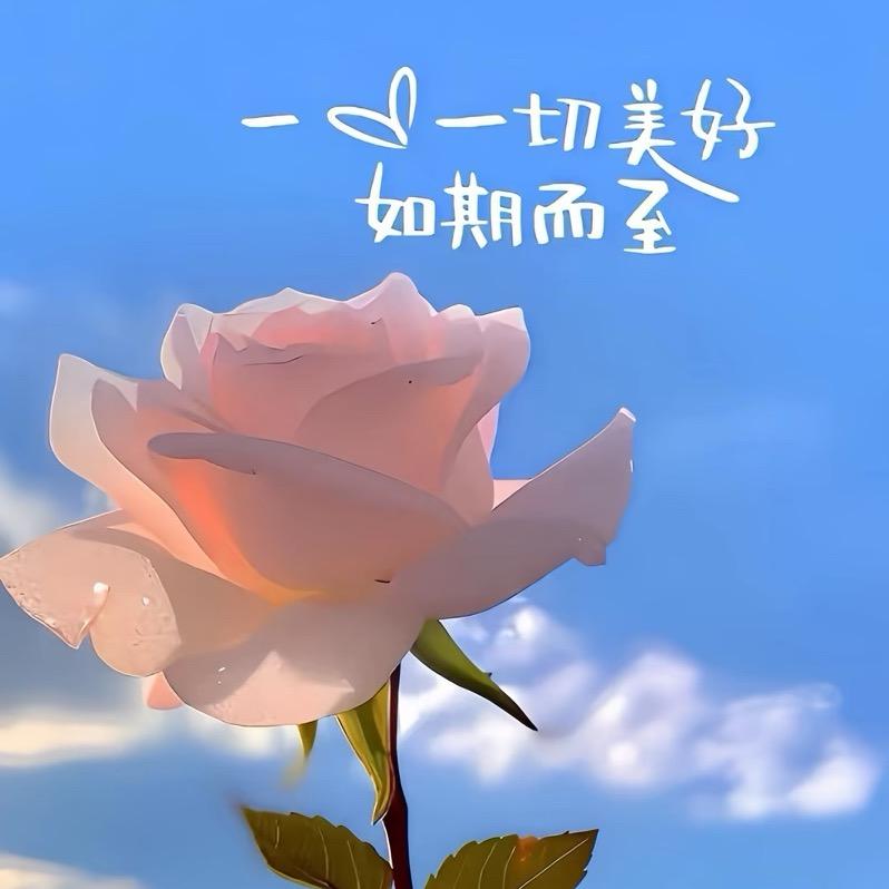 安好👣